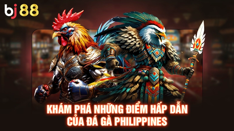 Khám phá những điểm hấp dẫn của đá gà Philippines