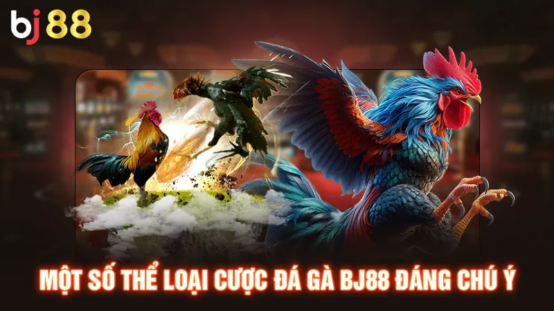 Một số thể loại cược đá gà BJ88 đáng chú ý