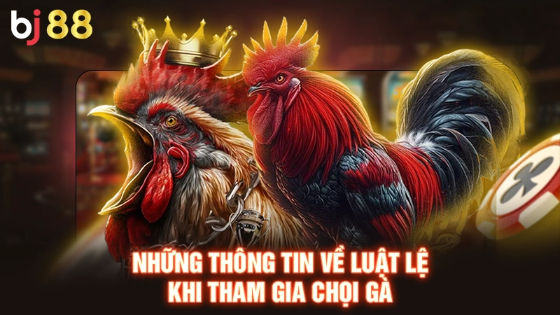 Những thông tin về luật lệ khi tham gia chọi gà