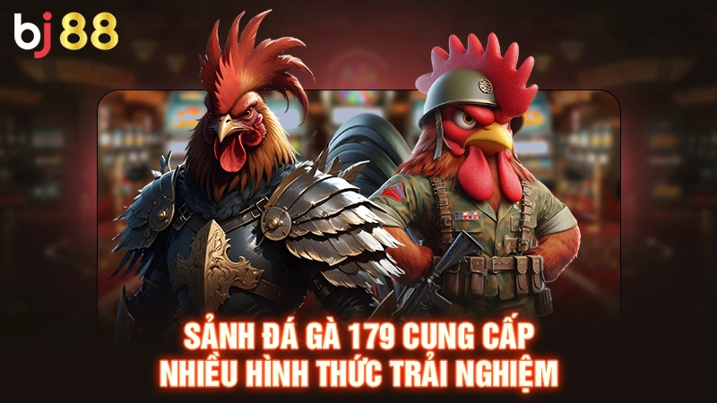 Sảnh đá gà 179 cung cấp nhiều hình thức trải nghiệm