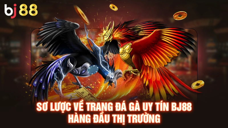 Tìm hiểu về trang đá gà uy tín