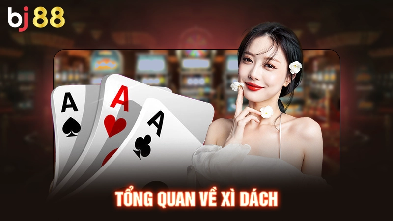 Tổng quan về xì dách