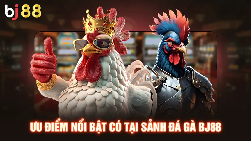 Ưu điểm nổi bật có tại sảnh đá gà BJ88