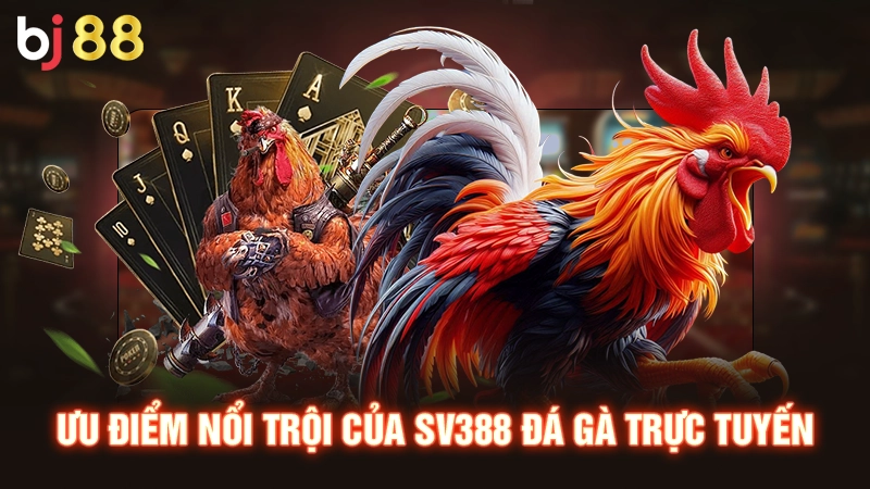 Ưu điểm nổi trội của SV388 đá gà trực tuyến